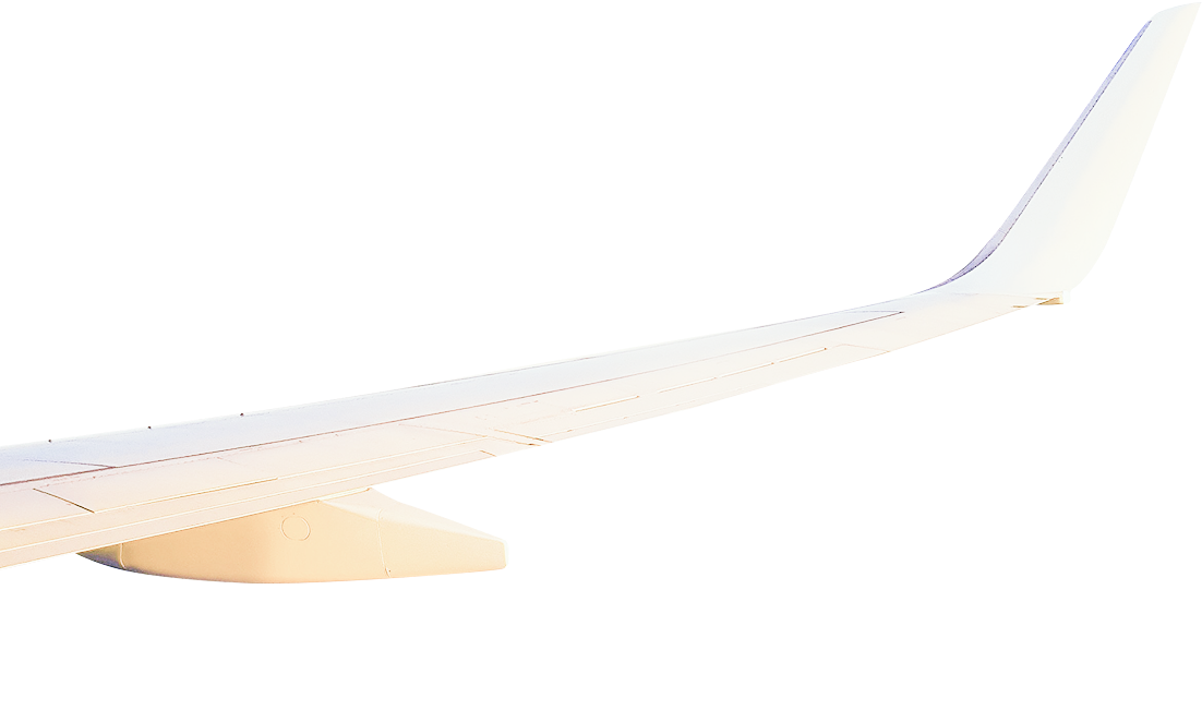 Wing light