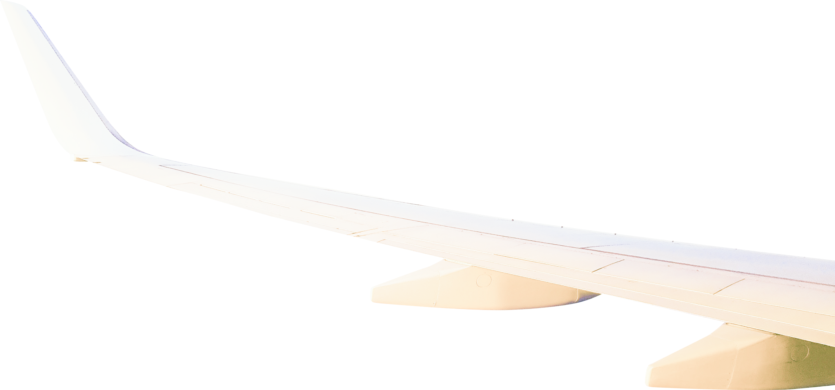 Wing light