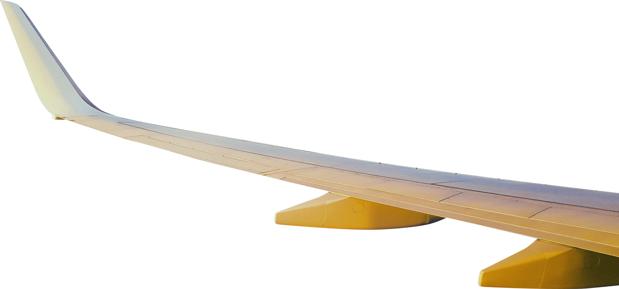 Wing